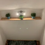 Apartment Feeling Trierweiler